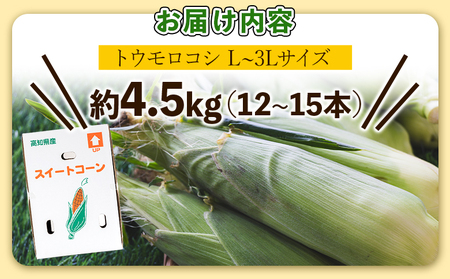 朝採れスイートコーン 4.5kg (12～15本) - 野菜 とうもろこし とうきび トウキビ BBQ キャンプ 旬 おやつ 特産品 数量限定 季節限定 期間限定 sg-0006