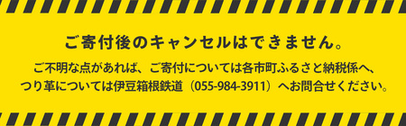 【伊豆箱根鉄道駿豆線 共通返礼品】市町オリジナルデザインつり革にメッセージ掲載（三島市・伊豆の国市・函南町・伊豆市）駿豆線車内掲出サービス | 鉄道 広告 記念 ギフト