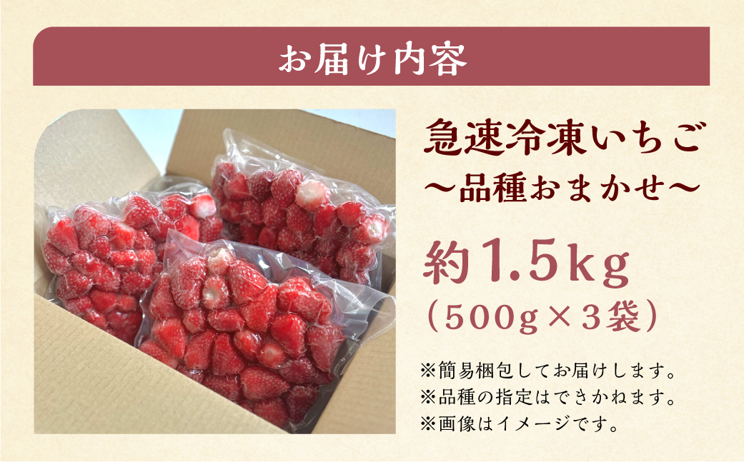 【2026年5月より発送】 《 訳あり 》 冷凍いちご 品種おまかせ 1.5kg (500g × 3p) 簡易梱包 サイズ 不揃い のため 訳あり 訳アリ フルーツ 果物 苺 いちご 紅ほっぺ よつぼ