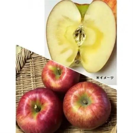 岩手県岩泉町産 りんご2品種(サンふじ・大夢)食べくらべ! 5キロ(約12個)_果物・フルーツ りんご  リンゴ 林檎_【1614547】