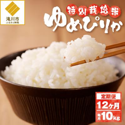ふるさと納税 滝川市 《令和7年産》特別栽培米ゆめぴりか 10kg×12ヵ月定期便 特A 減農薬 白米 北海道滝川市