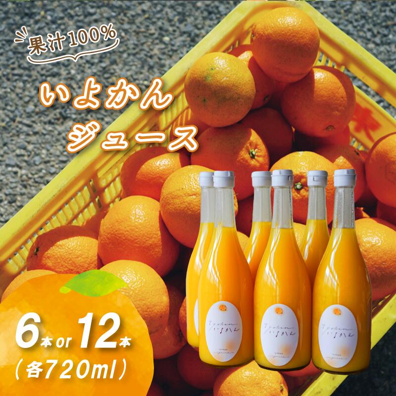 【ふるさと納税】 【予約販売】いよかんストレート果汁100％ジュース 720ml × 6本 / 12本 果汁100% 無添加 ストレートジュース 数量選択可 | みかんジュース 果汁100% みかんジュース ストレート 100% ジュース 柑橘 果汁飲料 みかんジュース NPO法人農音 愛媛県 松山市