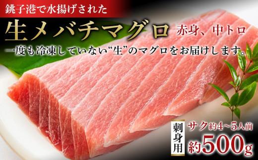 【ふるさと納税】 銚子港水揚げ　生メバチマグロ(刺身用サク)500グラム 約4〜5人前　※北海道、沖縄県、離島への発送不可　※発送日・曜日指定不可