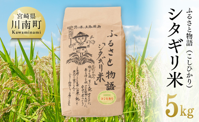 
            【令和7年産】宮崎県産こしひかり「シタギリ米」5kg 【 米 お米 白米 精米 国産 宮崎県産 こしひかり おにぎり 】
          