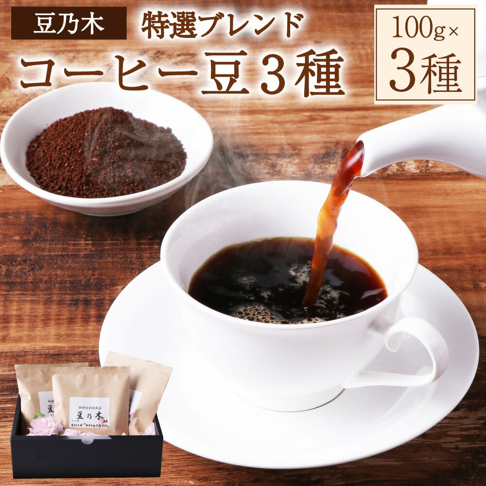 【ふるさと納税】豆乃木特選 ブレンドコーヒー豆 3種セット 粉 中挽き 姫たちのお茶会・香りの小道・足立山麓 計300g（各100g×3袋） 珈琲 飲料 ドリンク 福岡県 苅田町 送料無料
