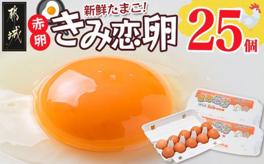 
                  新鮮赤卵「きみ恋卵」25個〔29-011-25〕_(都城市) 赤卵 きみ恋卵 Ｍサイズ 25個 30個 卵かけご飯 ゆで卵 お菓子作り
                