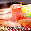 【ふるさと納税】熊本県産 A5等級 和王 柔らか赤身焼肉 合計900g 300g×3パック 贅沢 柔らかい 赤身 焼肉 お肉 牛肉 和牛 黒毛和牛 冷凍 国産 熊本県 送料無料