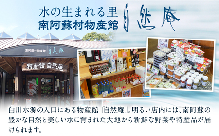 日本名水百選ミネラルウォーター「南阿蘇・白川水源」500ml×24本入1ケース《30日以内に出荷予定(土日祝除く)》熊本県 南阿蘇村 物産館自然庵 水 ミネラルウォーター