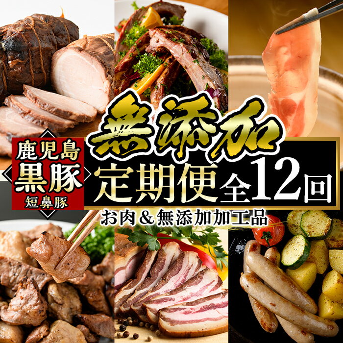 【ふるさと納税】《定期便全12回》鹿児島ますやの鹿児島黒豚「短鼻豚」のお肉＆無添加加工品！国産 豚肉 無添加 ソーセージ ウィンナー ウインナーソーセージ ベーコン チャーシュー 炭火焼き ハム 焼肉 しゃぶしゃぶ 餃子 おかず 冷凍 惣菜 コンシェルジュ【鹿児島ますや】
