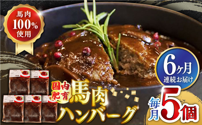 
            【全6回定期便】国内肥育 冷凍 馬肉ハンバーグ 計1kg ( 200g × 5個 ) デミグラスソース入り 小分け ハンバーグ 温めるだけ 個包装 惣菜 湯煎 熊本【有限会社 丸重ミート】[YAK038] 
          
