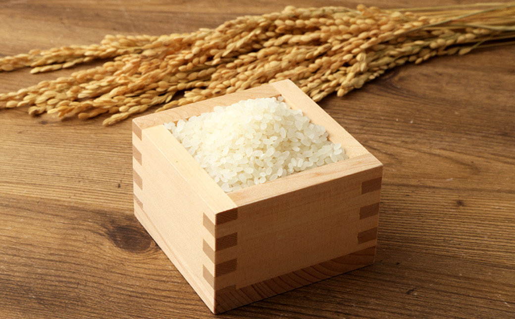 【新米先行予約】【隔月3ヶ月定期便】低アミロース米ぴかまる 約5kg×3回 白米 計約15kg