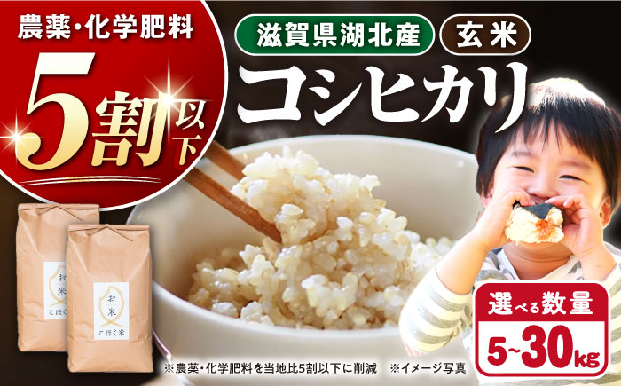 
            【令和7年産新米】湖北産 コシヒカリ  5kg・10kg・20kg・30kg 玄米  選べる容量 長浜市/株式会社エース物産[AQAK001] コシヒカリ こしひかり 米 5kg お米 ご飯 ごはん ゴハン 近江米 滋賀県産 長浜市産 こめ 玄米 白米 精米 お米 新米 食品 ふるさと納税 国産 炊きたて 米ギフト もちもち ブランド米  食卓 美味しい 産地直送 節約 人気 プレゼント ギフト
          