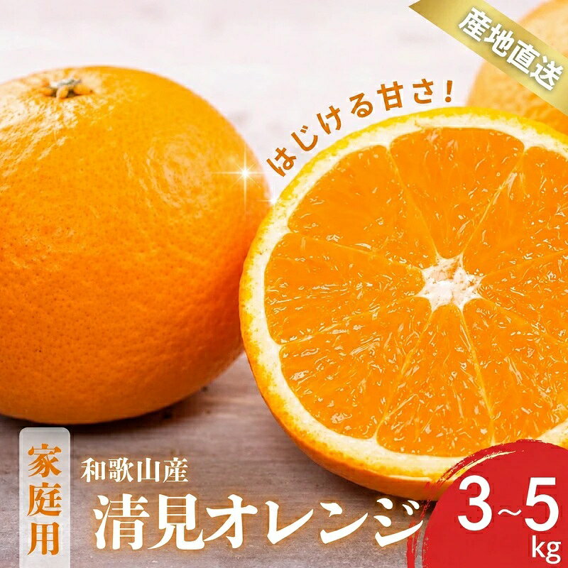【ふるさと納税】 【先行予約】訳あり 家庭用 きよみ 清見オレンジ 和歌山 有田 S〜2Lサイズ 大きさお任せ 3kg / 5kg 【2月上旬〜3月下旬頃に順次発送】/ みかん フルーツ 果物 くだもの 蜜柑 柑橘