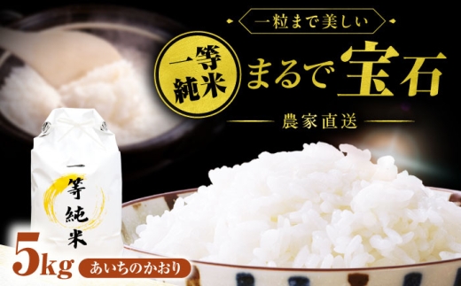 【5月発送】一等純米 あいちのかおり 5kg / 米 お米 精米 白米 一等米 愛知県産 国産米 / 稲沢市 / 有限会社ハシモト耕販 [BMBP002-05]
