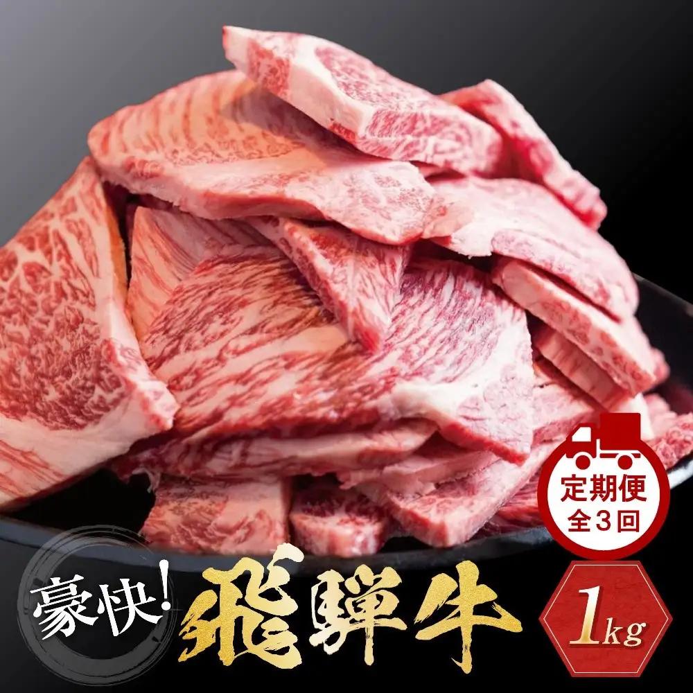【定期便全3回】飛騨牛 訳あり焼肉1kg 切り落とし｜2ヶ月に1回 焼肉 LR105