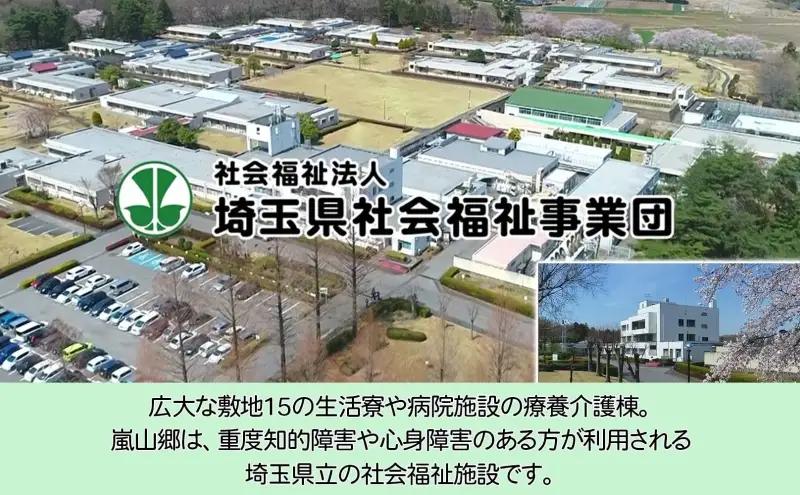 嵐山郷 さをり織り 反物 暖色系 約300cm×約20cm 手織り生地 雑貨 ハンドメイド 手作り 個性 ストール テーブルセンター ランチョンマット バッグ ポーチ 小物雑貨 不揃い 送料無料 福祉