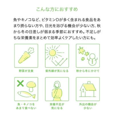 ふるさと納税 鎌倉市 【Lypo-C】リポ カプセル ビタミン C+D(11包入) 1箱 ギフト【ラッピング付】 |  | 03