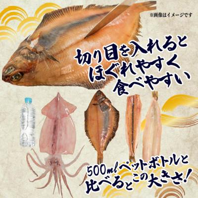 ふるさと納税 大船渡市 海の幸セット A-3 |  | 01