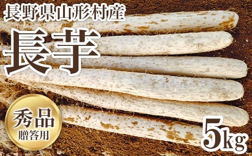 3213 長野県山形村産 長いも 秀 5kg
