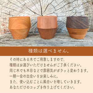 木製 コップ ムクロジ木器 FU002