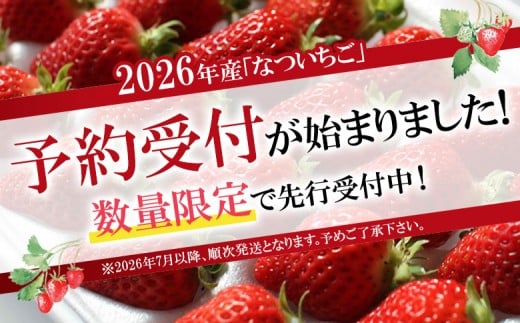 【先行予約：数量限定】北海道羽幌産 なついちご1kg（350g×3）（2026年7月より発送）