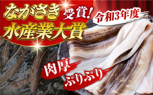 対馬産 天然あなごの開き500g×2《対馬市》【すし処慎一】国産 肉厚 穴子 アナゴ 新鮮 冷凍 白焼き 天ぷら 揚げ物 贈り物 [WCO002]