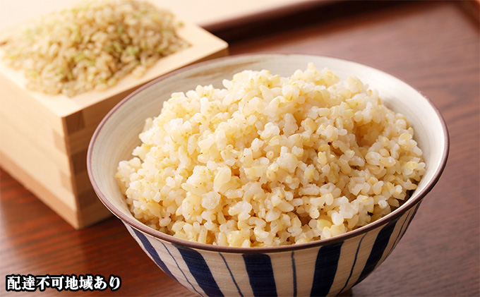 令和7年度産 きぬむすめ 玄米 10kg 岡山県 赤磐市産 お米 