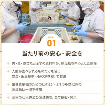 ふるさと納税 薩摩川内市  完全国産・獣医師オススメの愛犬の安心ごはん【バディフード】4種セット AS-757 |  | 02