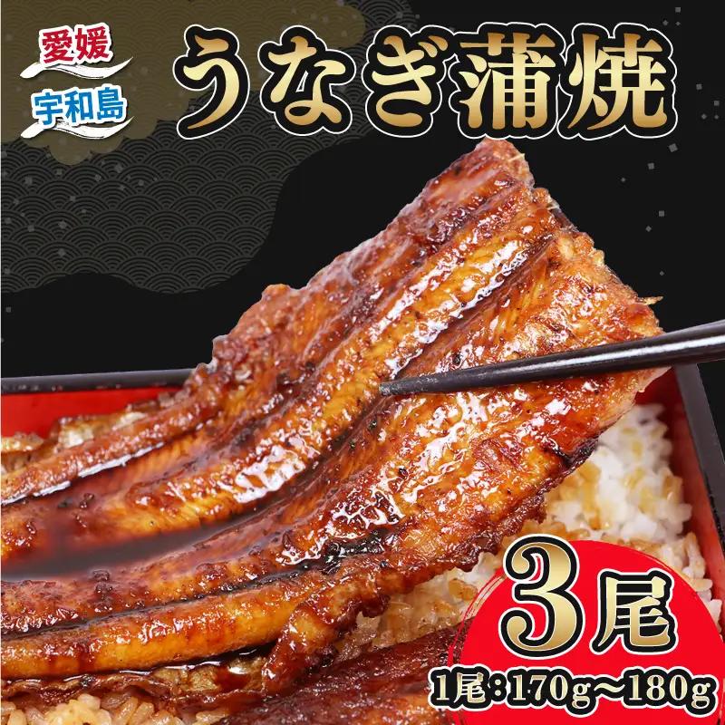 うなぎ蒲焼き170g~180g×3尾河野鮮魚店(蒲焼たれ3袋付)【D032-177004】