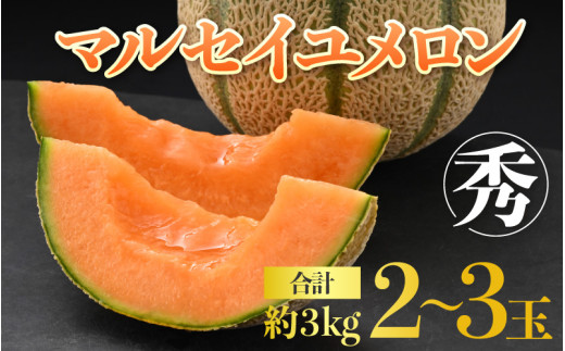 【先行予約】佐藤農園のマルセイユメロン 約3kg前後《秀品》(2～3玉入）深みのある甘さ とろける濃厚な赤肉！農家直送 有機肥料 低農薬 ※2027年5月下旬～6月末の間に順次発送 [aw069-a002]