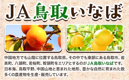 西条柿 2.5kg 個包装 (12玉〜14玉) JA鳥取いなば《10月下旬-11月下旬頃出荷》渋抜き 2L〜3L 柿 かき カキ フルーツ 果物 くだもの 青果物 特秀 鳥取県 八頭町st-p