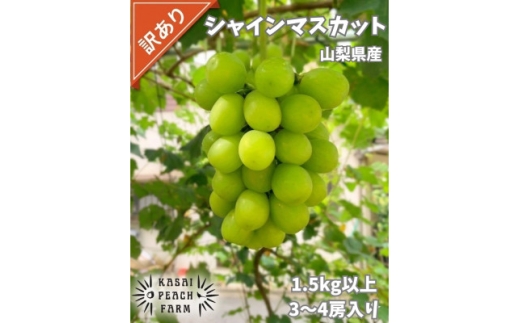 ＜2026年発送＞訳あり シャインマスカット 3～4房 1.5kg以上【1732302】