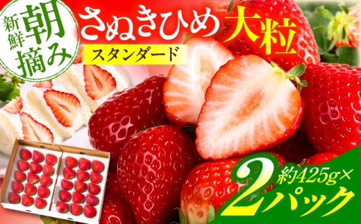 【先行予約】苺音スタンダード～春の大粒のさぬきひめいちご～　約850ｇ | スイーツ いちご イチゴ ストロベリー さぬきひめ さぬき姫 苺 冷蔵 フルーツ 旬 果物 香川県 デザート 青果物 おすすめ |_mk137-003