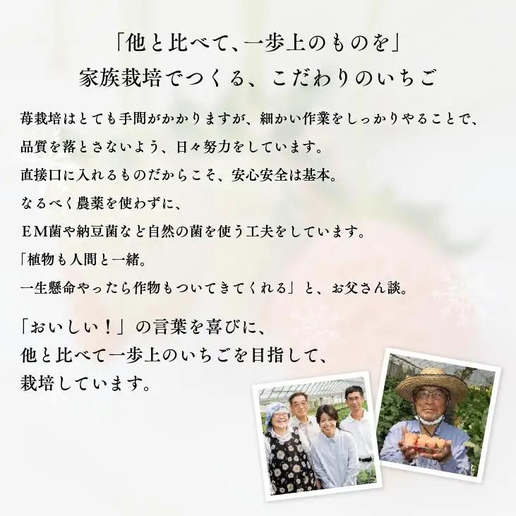 【先行予約】白いちご「淡雪」・2パック入×1箱 | 豊後高田市 白いちご