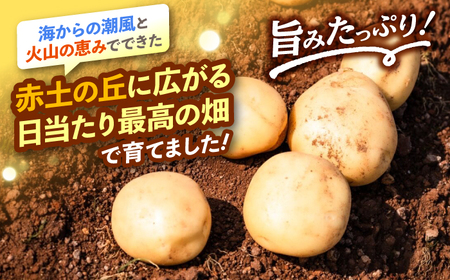 勝田農園のおまかせじゃがいも約10kg（種類・サイズ混合）＜勝田農園＞[CGM004]