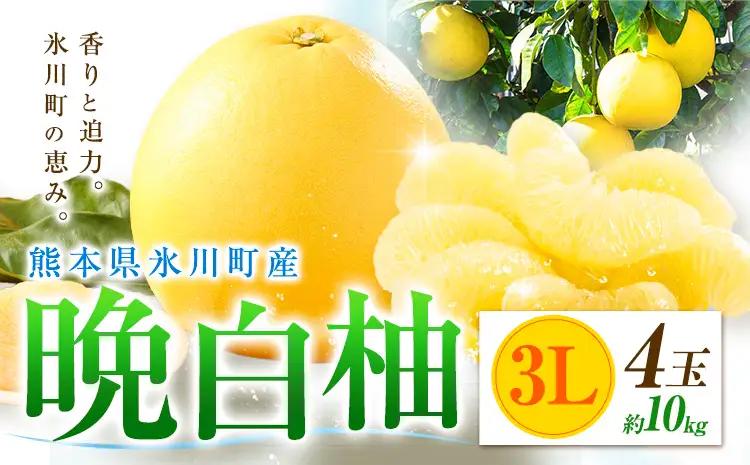 柑橘 晩白柚 3L 4玉 10kg 日本フルーツ株式会社