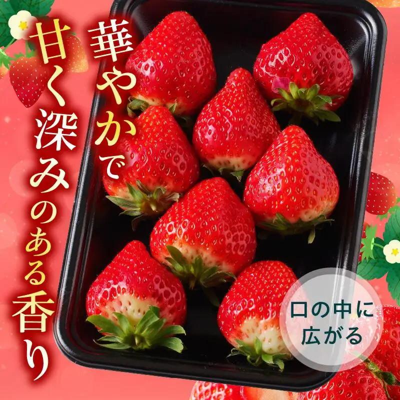 大粒厳選(1粒20g以上)!さぬきひめいちご 約1kg【2027-3月上旬～2027-3月下旬配送】