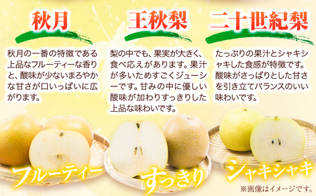 梨 幸水 豊水 約2kg 5~7玉 青空市きらり《8月中旬から12月中旬頃に出荷予定》岡山県 矢掛町 なし 幸水梨 豊水梨 あきづき 二十世紀梨 王秋梨 お中元 梨