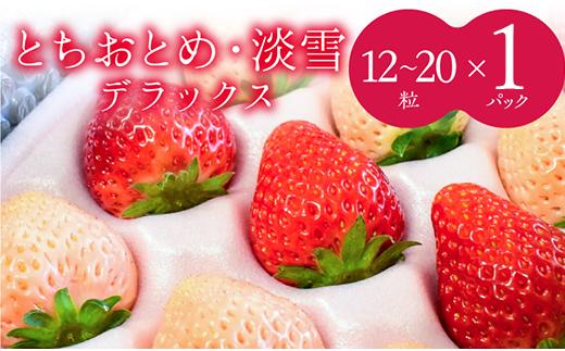 
            【2～4月発送】いちご 苺 イチゴ とちおとめ 淡雪【2～4月発送】紅白DX 1箱（12～20粒）デラックスサイズ 厳選 セット フルーツ 季節限定 希少  高級 新鮮 大容量 送料無料 ギフト 茨城県 鉾田市 野菜王国
          