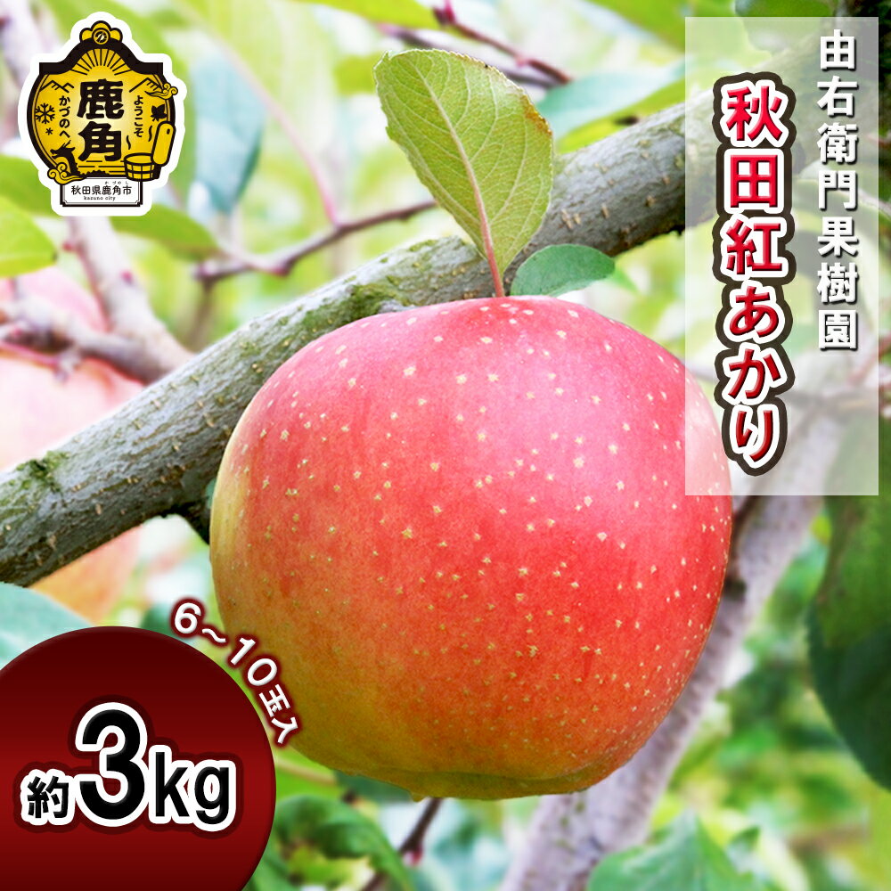 【ふるさと納税】《 先行予約 》由右衛門果樹園 りんご 「 秋田紅あかり 」 約3kg （ 6～10玉 ）国産 旬 食感 果汁 リンゴ 完熟 お中元 お歳暮 贈り物 お見舞い グルメ ギフト 故郷 秋田 あきた 鹿角市 鹿角 りんご 送料無料 【由右衛門果樹園】●2025年11月上旬発送開始