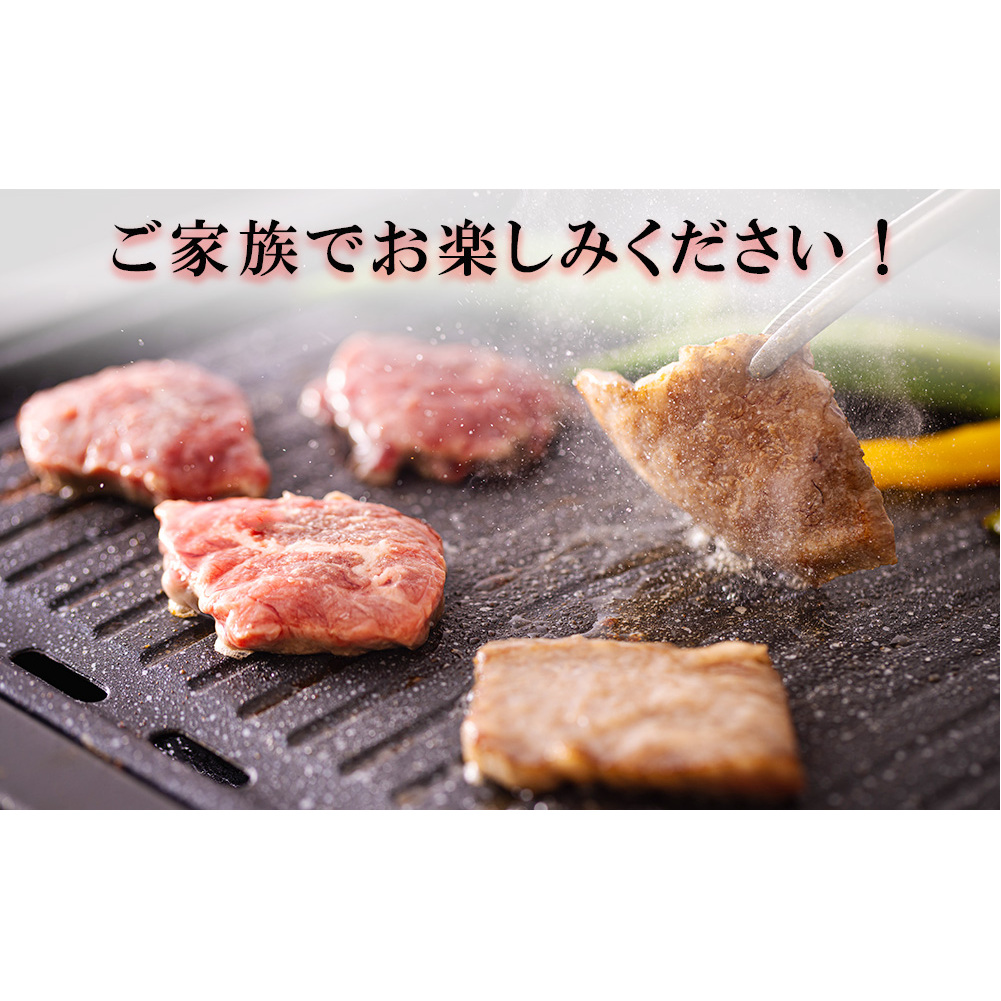 6回 定期便 宮崎県産 焼肉 セット 黒毛和牛 モモ カルビ 豚バラ 若鶏 モモ 合計7.2kg 各300g [サンアグリフーズ 宮崎県 美郷町 31ba0039] 小分け 冷凍 送料無料 国産 BB