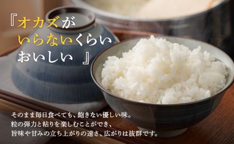 無洗米 令和５年産 いちほまれ 10kg 福井 高級ブランド米 お米 おこめ 米 コメ こめ 白米 精米 ご飯 ごはん 福井県