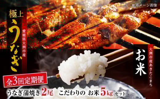 【全3回定期便】「うなぎ蒲焼き 2尾」とこだわりの「お米 5kg」セット 愛媛県大洲市/有限会社 樽井旅館 [AGAH008] うなぎ ウナギ 鰻 手焼き うなぎ ウナギ 鰻 国産 うなぎ ウナギ 鰻 うなぎ蒲焼 鰻重 うな丼 土用の丑 鰻 ウナギ お正月 クリスマス