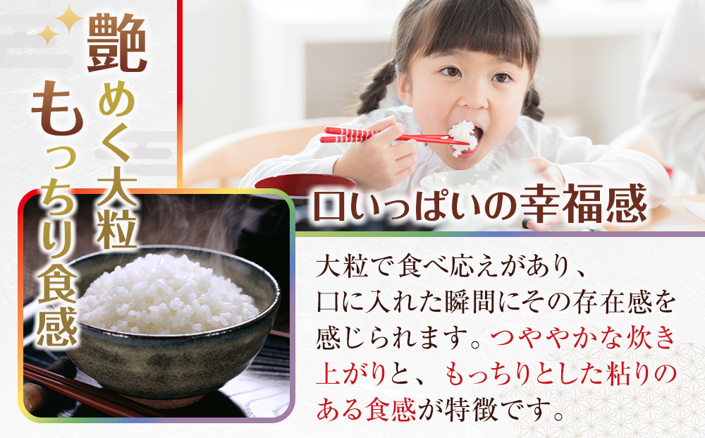 米 にじのきらめき 和歌山県産 10kg（5kg×2）（2026年産）［SL15］
