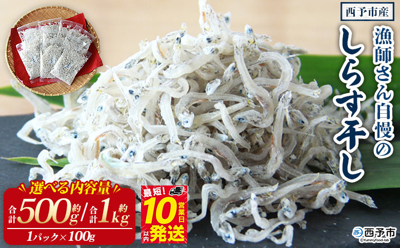 
            漁師さん自慢のしらす干し 合計500g/1kg（1パック100g入り） シラス 魚介類 さかな 海産物 海鮮 海の幸 小分け 国産 ご飯のお供 丼 おつまみ 晩酌 おかず おやつ 特産品 産地直送 濱田水産 愛媛県 西予市 【冷凍】
          