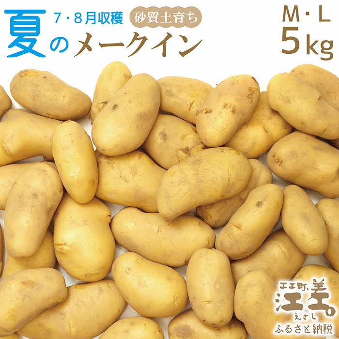 【ふるさと納税】★7月頃～順次出荷★砂質土育ち「夏」メークイン M・L混合5kg　北海道江差町産　露地もの　江差産メークイン　北海道のじゃがいも　芋の塩煮　肉じゃが　カレー　シチュー　コロッケ　色々なお料理に　北海道産　ほくほく