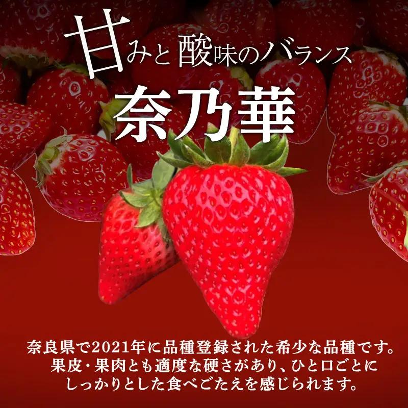 いちご 今西さん家の奈良いちご 奈乃華 いちご【約1080g 270g×4パック】【先行予約】