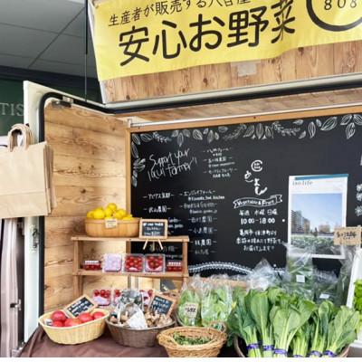 ふるさと納税 京都府 【産地直送】旬のお野菜詰め合わせ 京野菜セット 6〜8種類 |  | 02