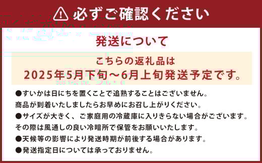 益城町産 スイカ 大玉 1玉 6kg以上 西瓜 熊本県