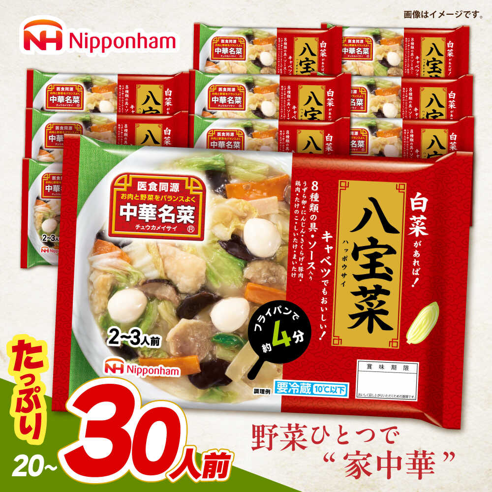 【ふるさと納税】＜選べる配送月＞中華名菜 八宝菜 (2〜3人前) 10個セット / 中華 八宝菜 惣菜 冷蔵 簡単調理 晩御飯 フライパン調理 ワンパンメニュー / 諫早市 / 日本ハムマーケティング株式会社[AHAL020]